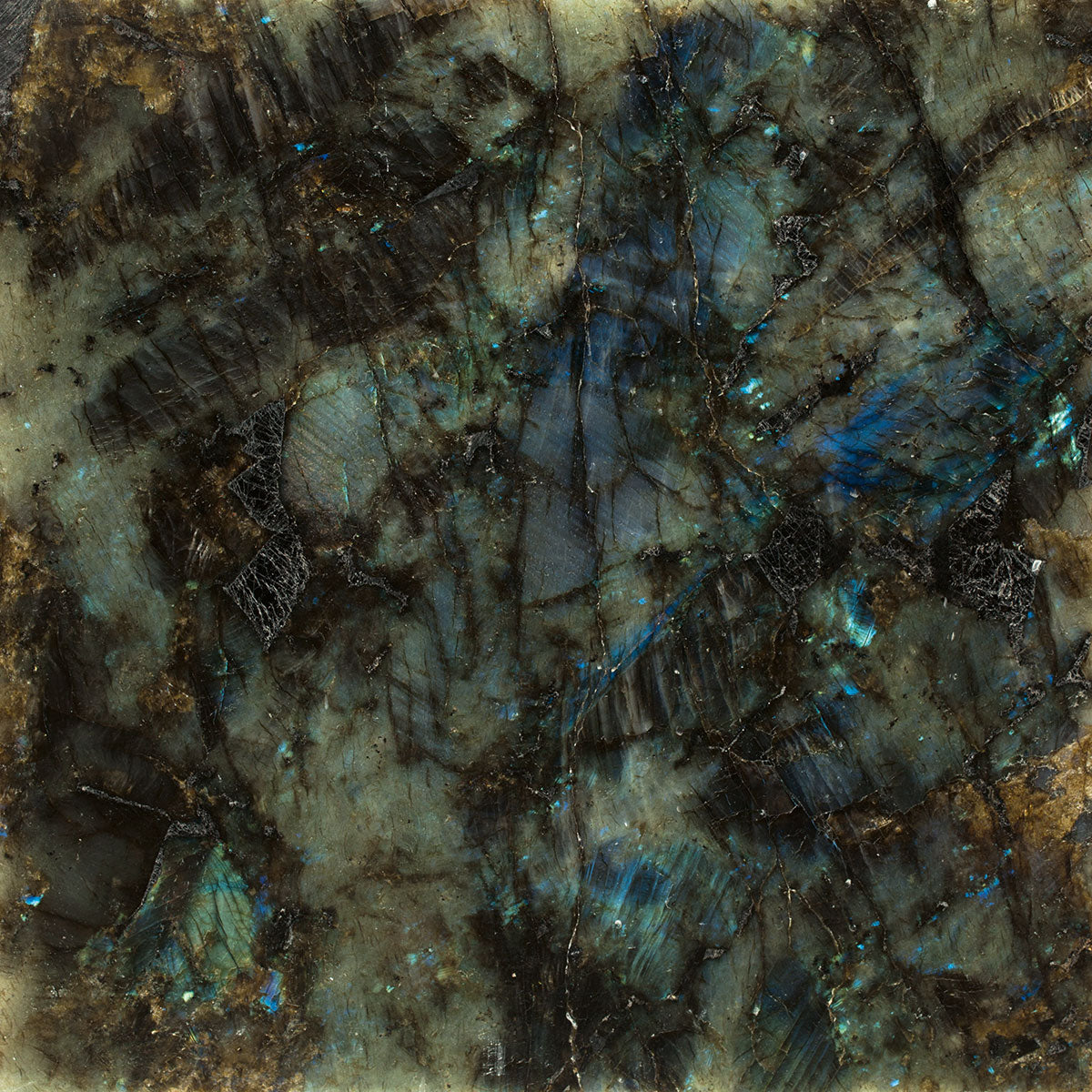 Lemurian Blue